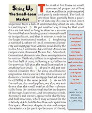 Sizing Up the Small-Loan Market